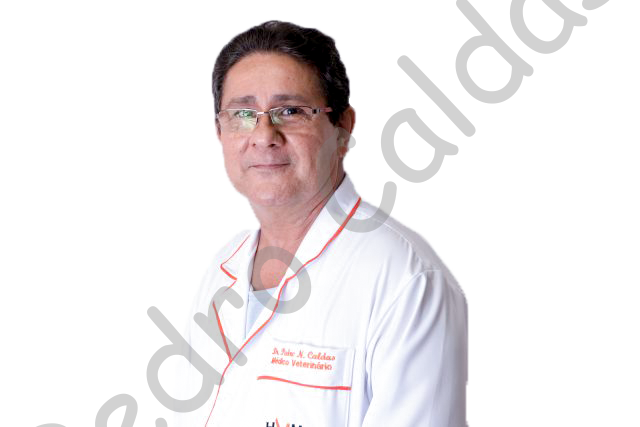 Blog Pedro Caldas